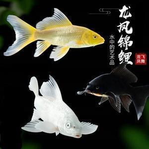 有深度有品味的说说 看的是书，读的却是世界