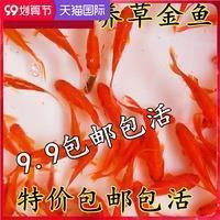 表明我很想你的句子