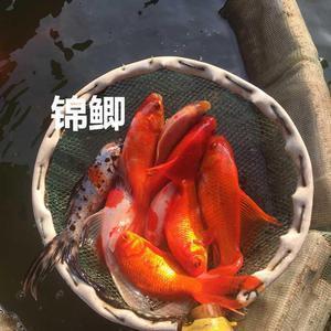 描写景色的句子