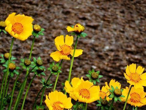 关于山盟海誓的短句子