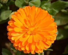 表达对恋人失望的句子