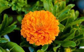 特别深爱一个人的句子简短的汇编74句