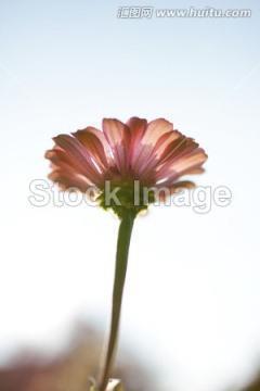 感恩珍惜亲人的句子