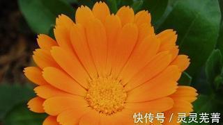 表达阳光开心的句子