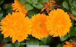 积极向上阳光的句子励志短句合集61句