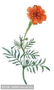 用一句话证明你爱她 特别深爱一个人的句子汇总92句