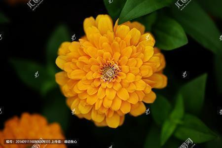 爱情的羁绊的句子 羁绊的爱情句子(精选18句)