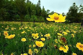 抖音2021经典句子81句