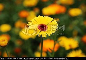 一切到此结束的句子 看透一切的绝情句子汇总87句