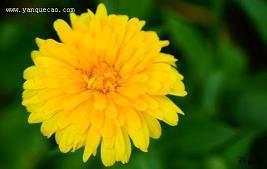 表示开心夸张的句子