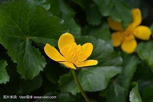 抖音再见2021你好2022说说(精选89句)