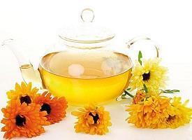 描写冬天花开的优美句子 赞美冬天开的花的说说47句