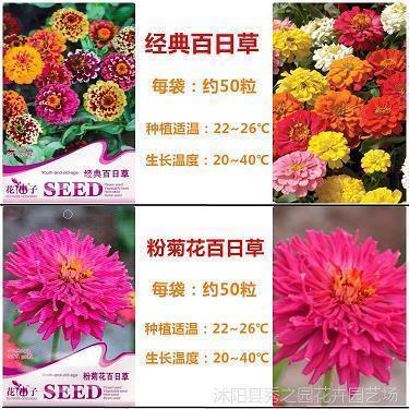 最精辟的佛语短句 佛语人生哲理经典语录(精选64句)