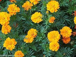 记者节祝福句子(精选30句)