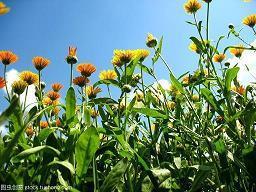 2021腊八大寒节同一天走心祝福语