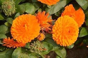 自己生日快乐发朋友圈的句子简单 自己生日发的说说金句