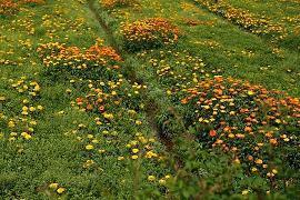 表达对父母失望的句子