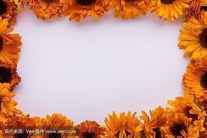 表达对兄弟失望的句子