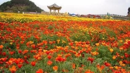 祝福朋友的冬至优美句子57句