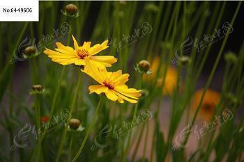 【推荐】熬夜怎么发说说 熬夜失眠的说说心情短语推荐85句