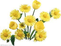 爱情一路走来的经典句子 回想一路走来的句子(精选43句)