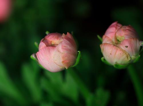 简短的高级情话 2021浪漫表白情话合集80句