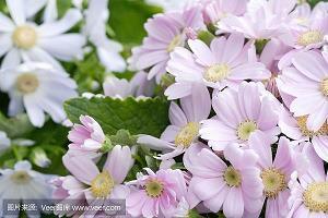 被生活压得喘不过气的句子 生活压力短句