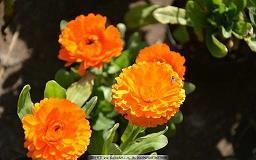 看透人生的经典句子说说心情短语精选83句