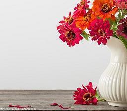 男孩本色经典句子大全(精选80句)