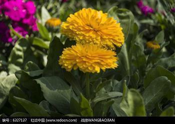 无奈人生感悟句子简短