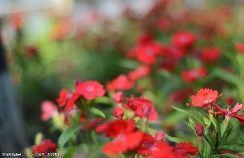 简短情感语录大全