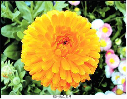 让男人看了心疼你的句子 让对方看到心疼的句子