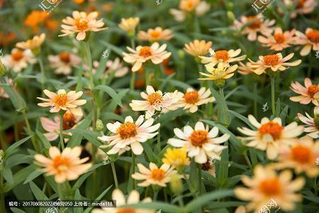 晚上好心语正能量句子 晚安唯美句子简短汇总77句