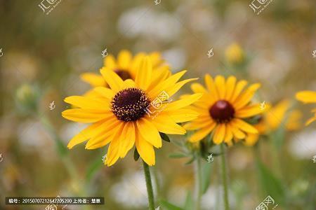 给团队加油鼓劲的句子37句