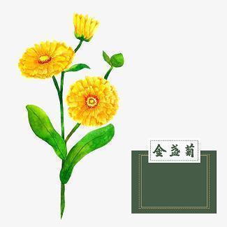 2020年治愈系微信网名两个字 青果