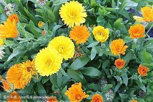 适合清晨发的朋友圈早安心语收录21句