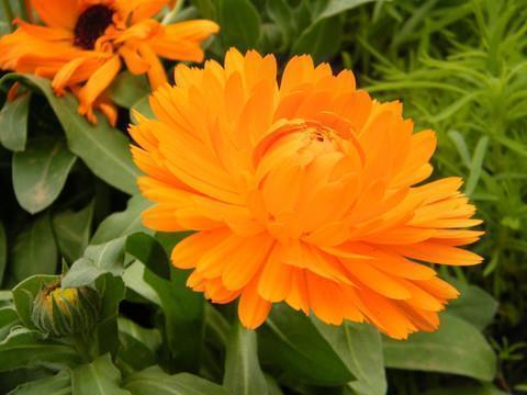 每日一句情话撩女朋友 适合读给女朋友的情话