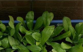 描写夜晚迷人景色美的句子段落唯美