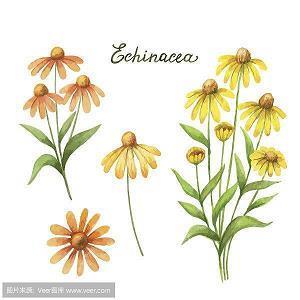 说说经典句子致自己 2021年经典说说大全17句