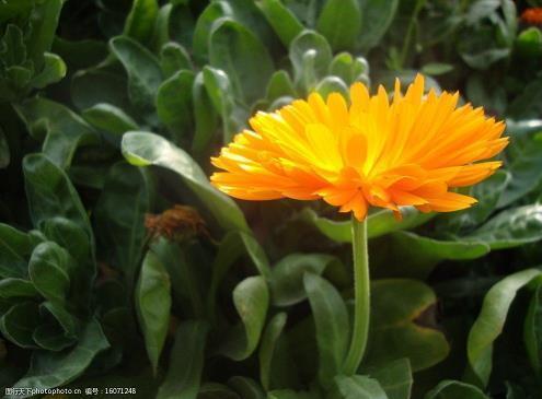 温柔很仙的宝藏句子