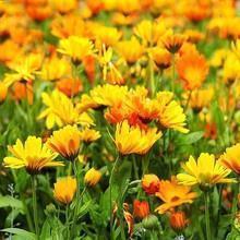 正能量销售的句子82句