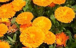 感慨人生的句子 表达心情的句子汇总34句