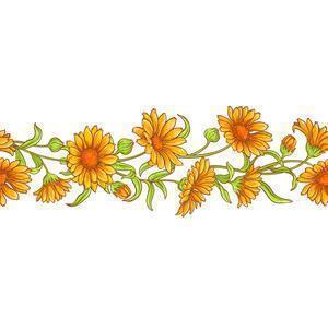 感恩社会和国家的句子