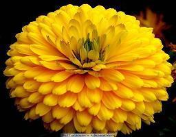 春节朋友圈创意问候祝福文案