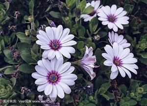 晒自拍的幽默句子 朋友圈美照文案集锦28句