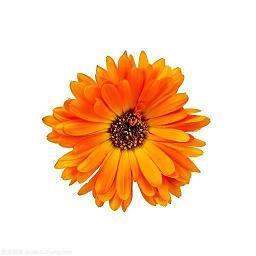 暗示对闺蜜失望的说说 暗示友谊破裂的句子推荐61句