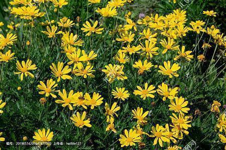 晚安问候语简短一句话 晚安温馨问候语汇总54句