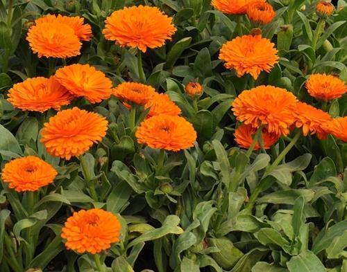 愿孩子未来可期的句子(精选32句)