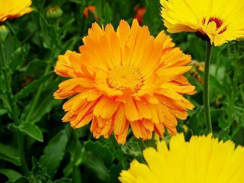 晚上宵夜适合发朋友圈的幽默句子摘抄29句