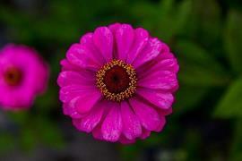 描写疫情中的医护人员的句子(精选35句)